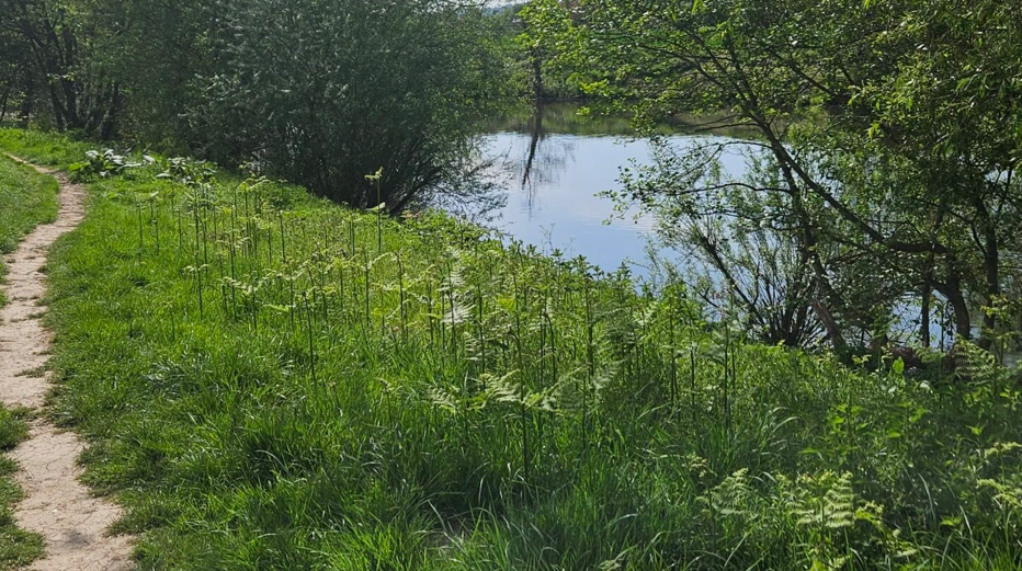 Family-friendly River Wye walks