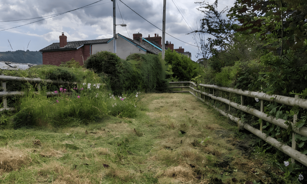 Secure enclosed garden for dogs to play, explore, and toilet – ideal for pet-friendly stays near Hay-on-Wye