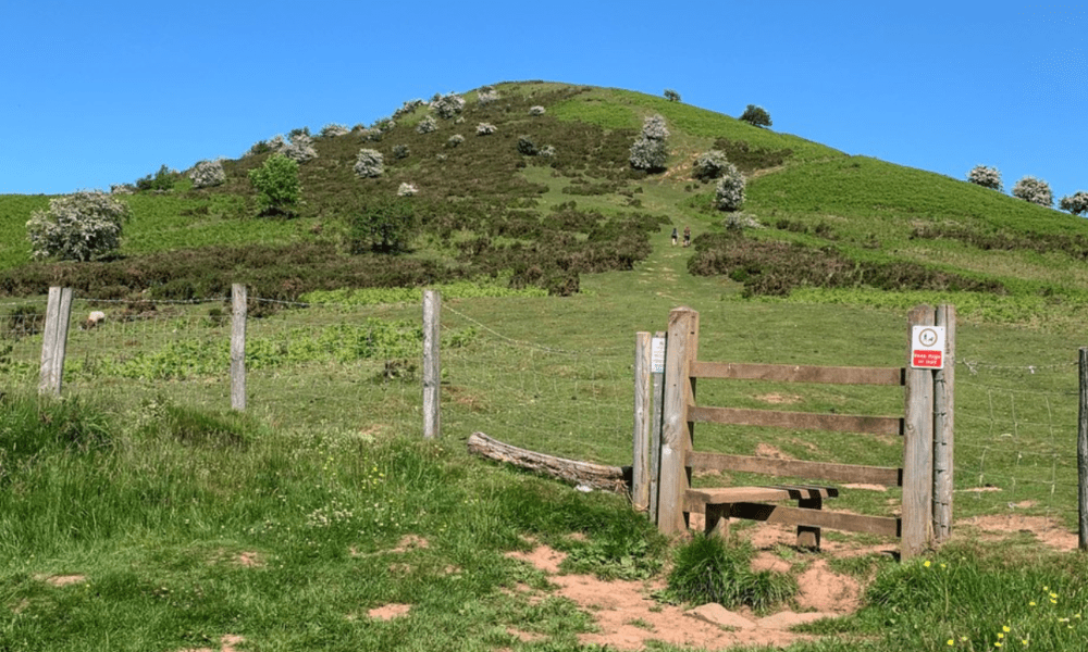 Scenic hiking trail in Herefordshire – dog-friendly countryside walks near Hay-on-Wye